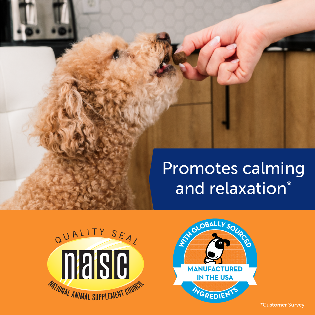 sm-image-1db26401dd0a1d28f2a8673b ThunderBites® for Dogs - Calming Chews