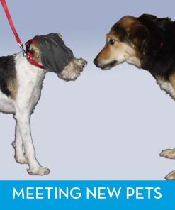ThunderCap for Dogs