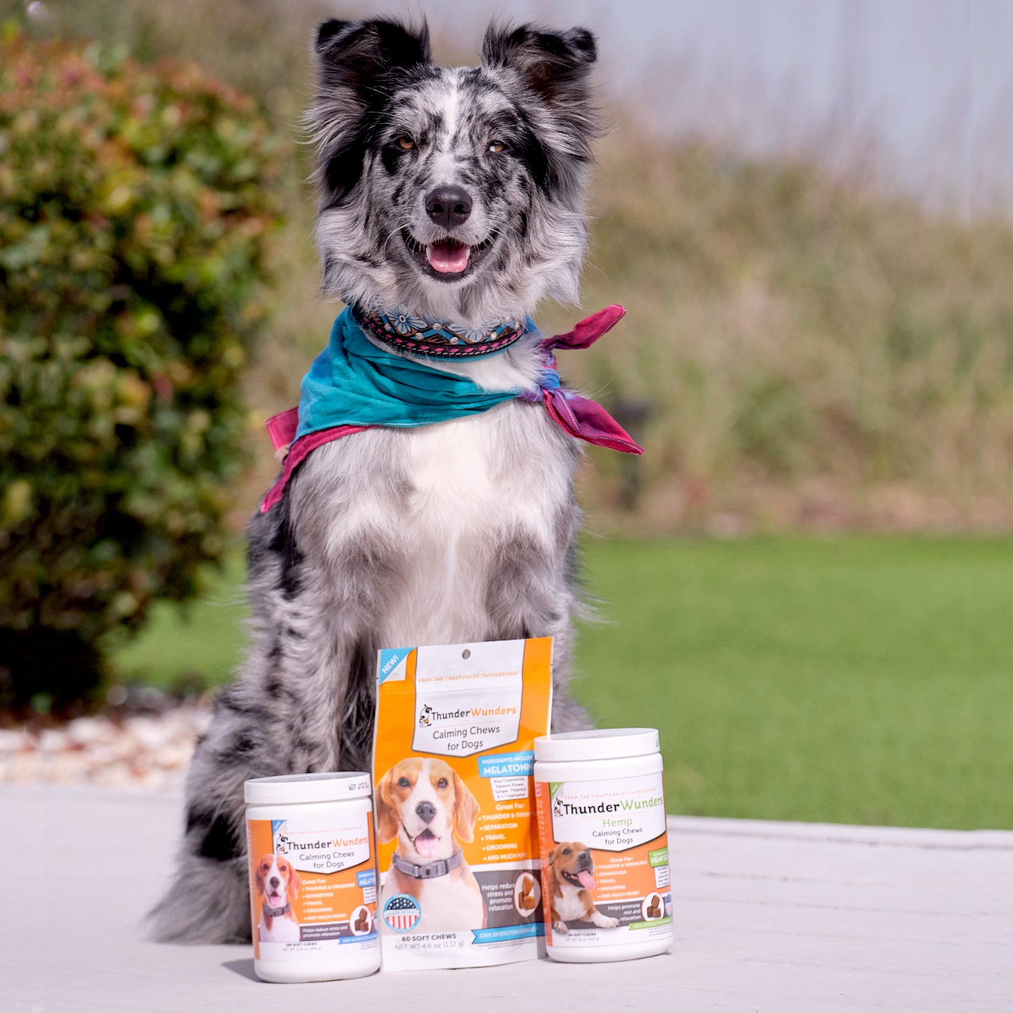 sm-image-52a6d25acc01e455bc6d2c97 ThunderBites® for Dogs - Calming Chews
