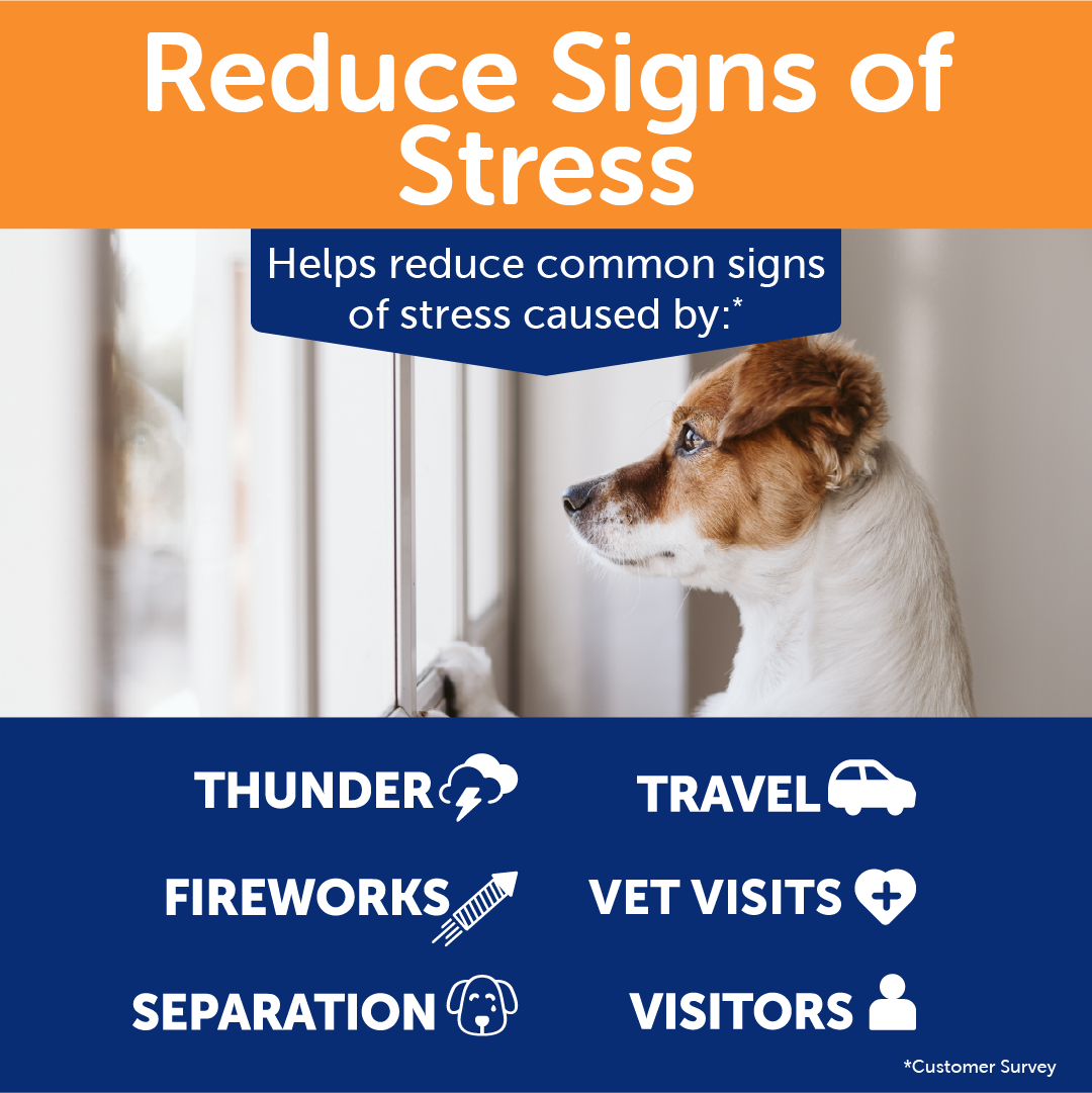 sm-image-544f57a7cd4d1b066f17dfb2 ThunderBites® for Dogs - Hemp Calming Chews