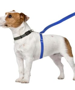 ThunderLeash®