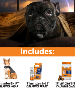 Summer Survival Bundle
