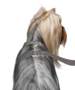 ThunderLeash®
