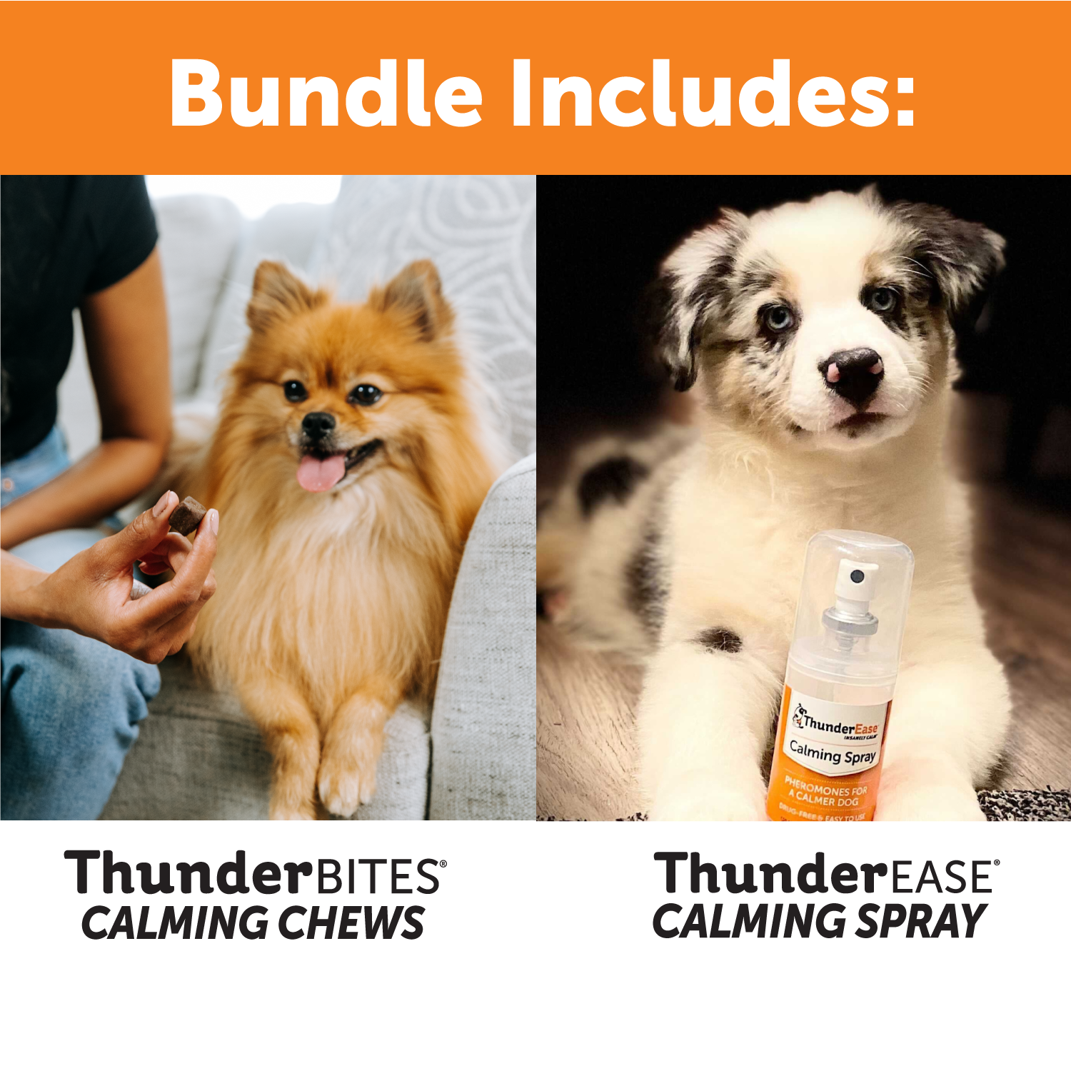 sm-image-82d2a7a8f1792780398813db Dog Travel Calming Bundle