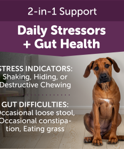 ThunderBites® Calm + Probiotic Daily Soft Chews for Dogs