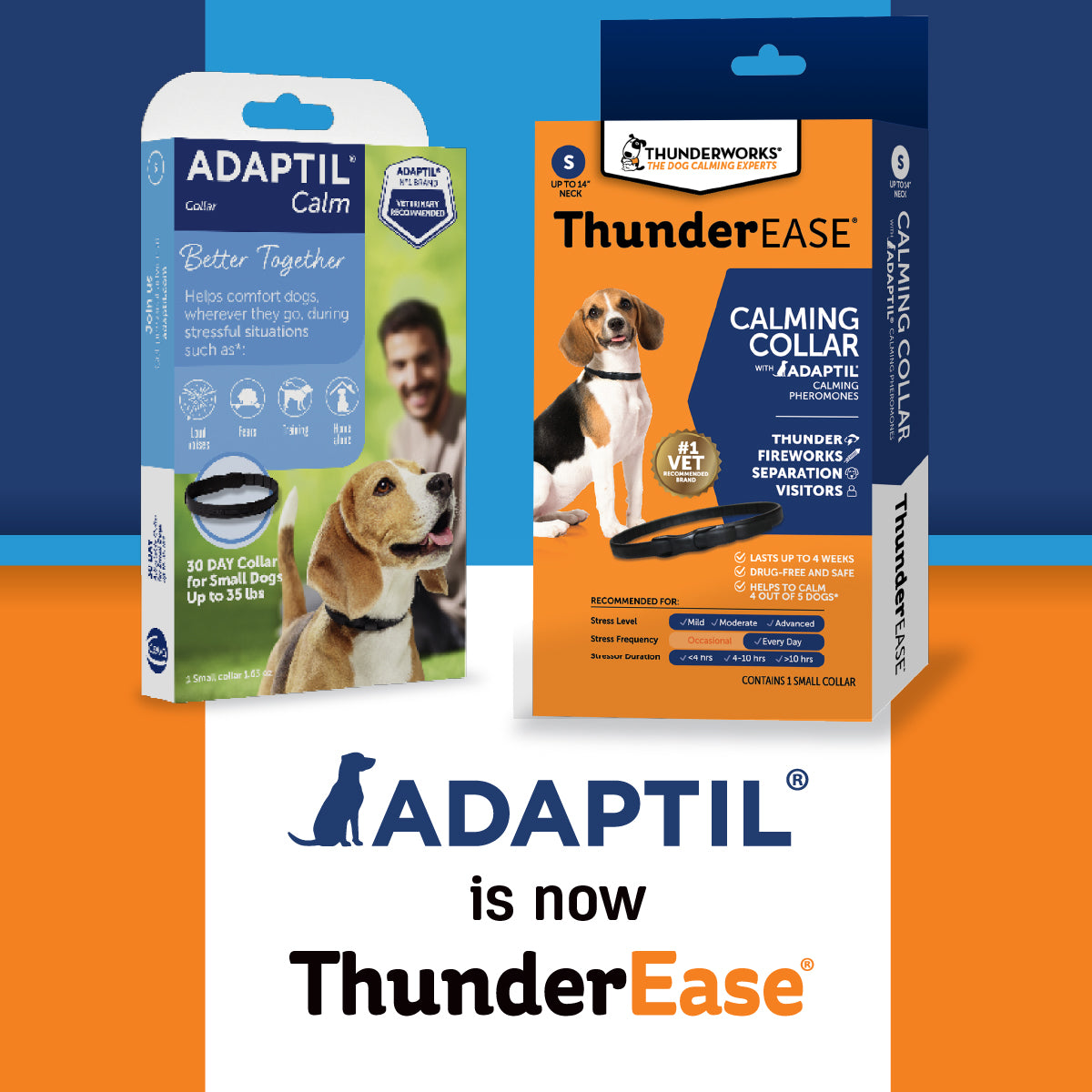 sm-image-95d521513a3e9630fce28703 ThunderEase® for Dogs - Calming Collar