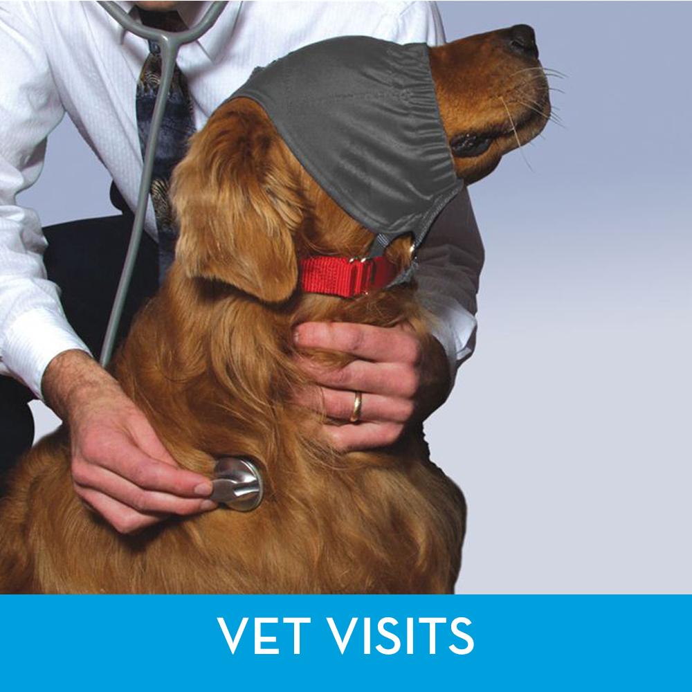 sm-image-a615fbf0dc5531ab8c9744a0 ThunderCap for Dogs