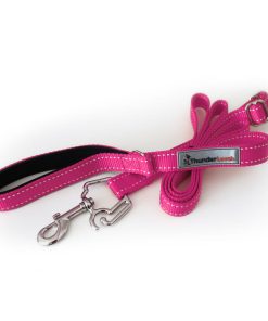 ThunderLeash®