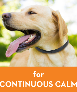 ThunderEase® for Dogs - Calming Collar
