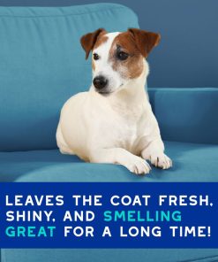DOUXO® Skin & Coat SPA Odor Control Spray