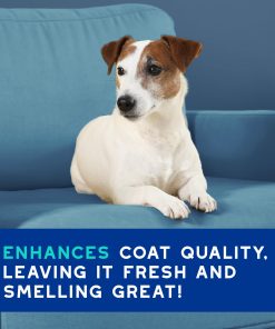 DOUXO® Skin & Coat SPA Odor Control Shampoo