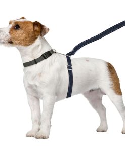 ThunderLeash®
